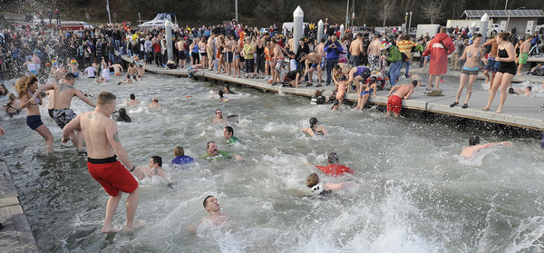 Polar Bear Plunge