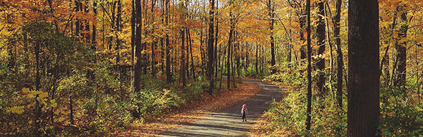 Cool Creek Park