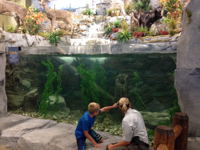 The fish & wildlife display is AMAZING! Cabela's Fish