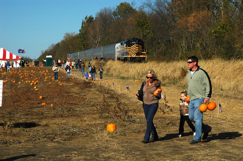 All aboard! Time for the the Hamilton Harvest Train. Hamilton Harvest Train / Pumpkin Train