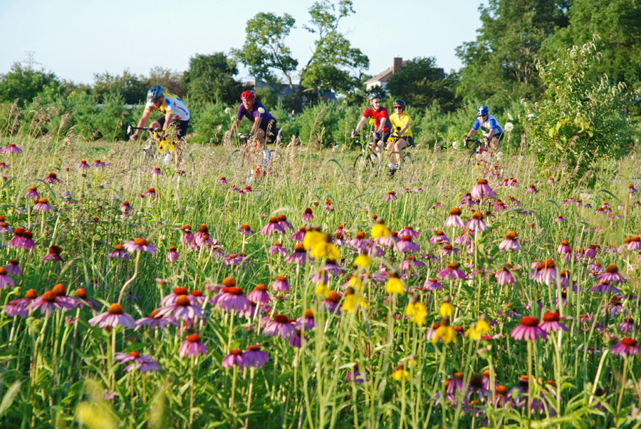 Find your perfect trail Biking in park