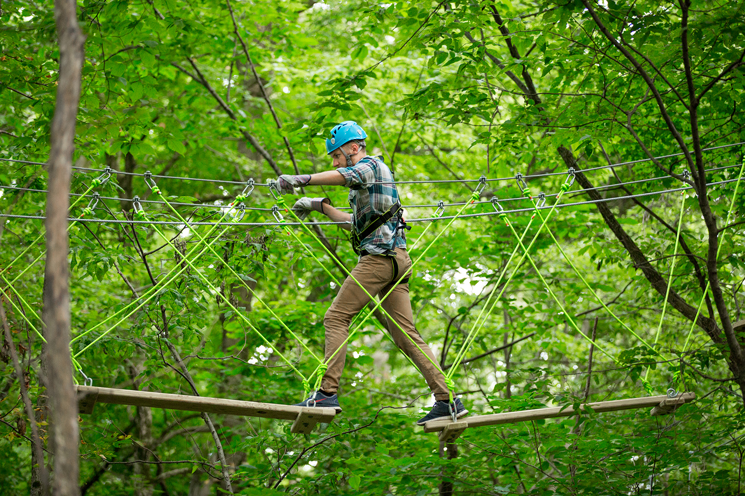 hamilton county treetop adventures