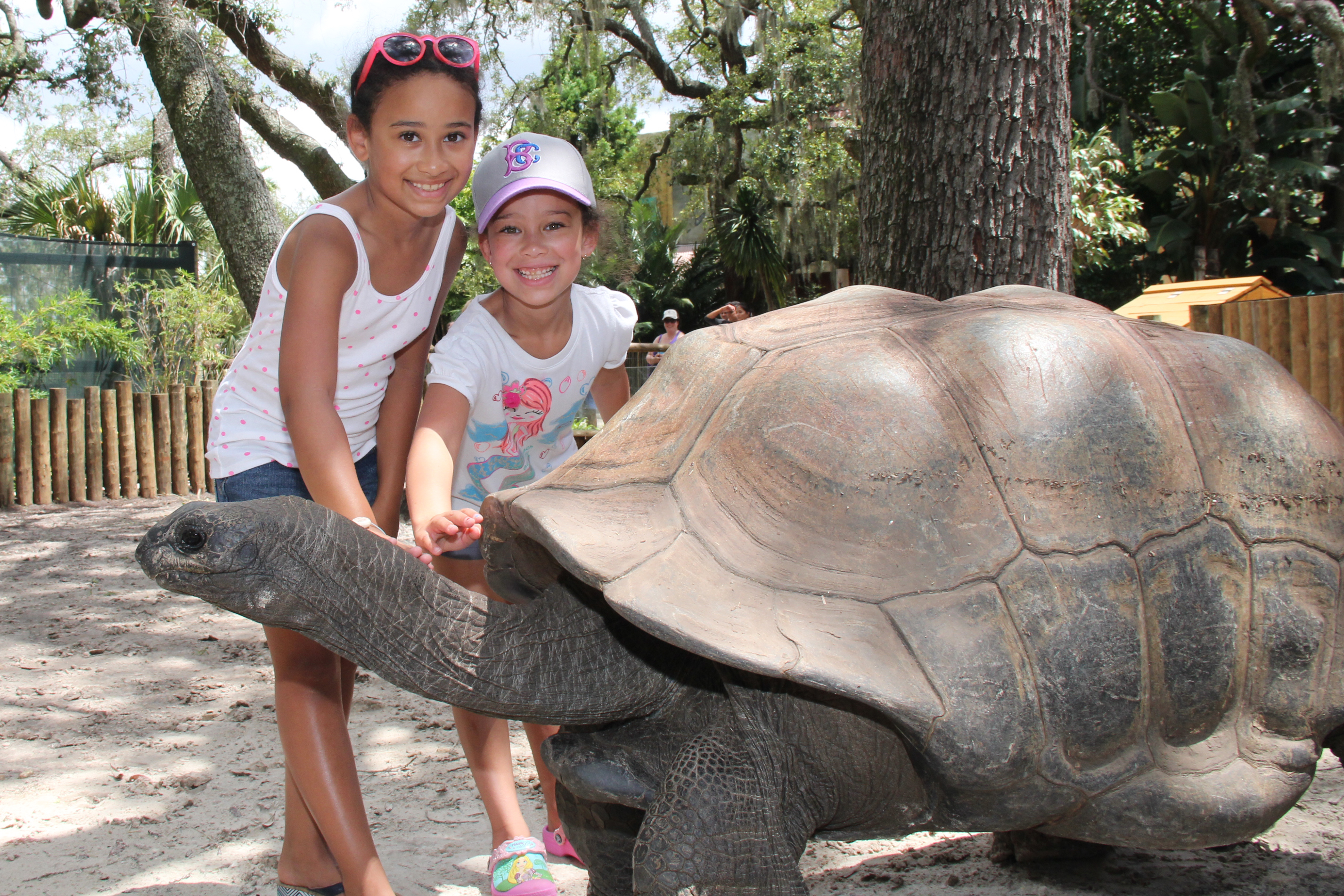 Tampa's Lowry Park Zoo