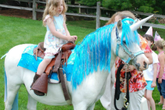 Jozee Rooz Unicorn Rides