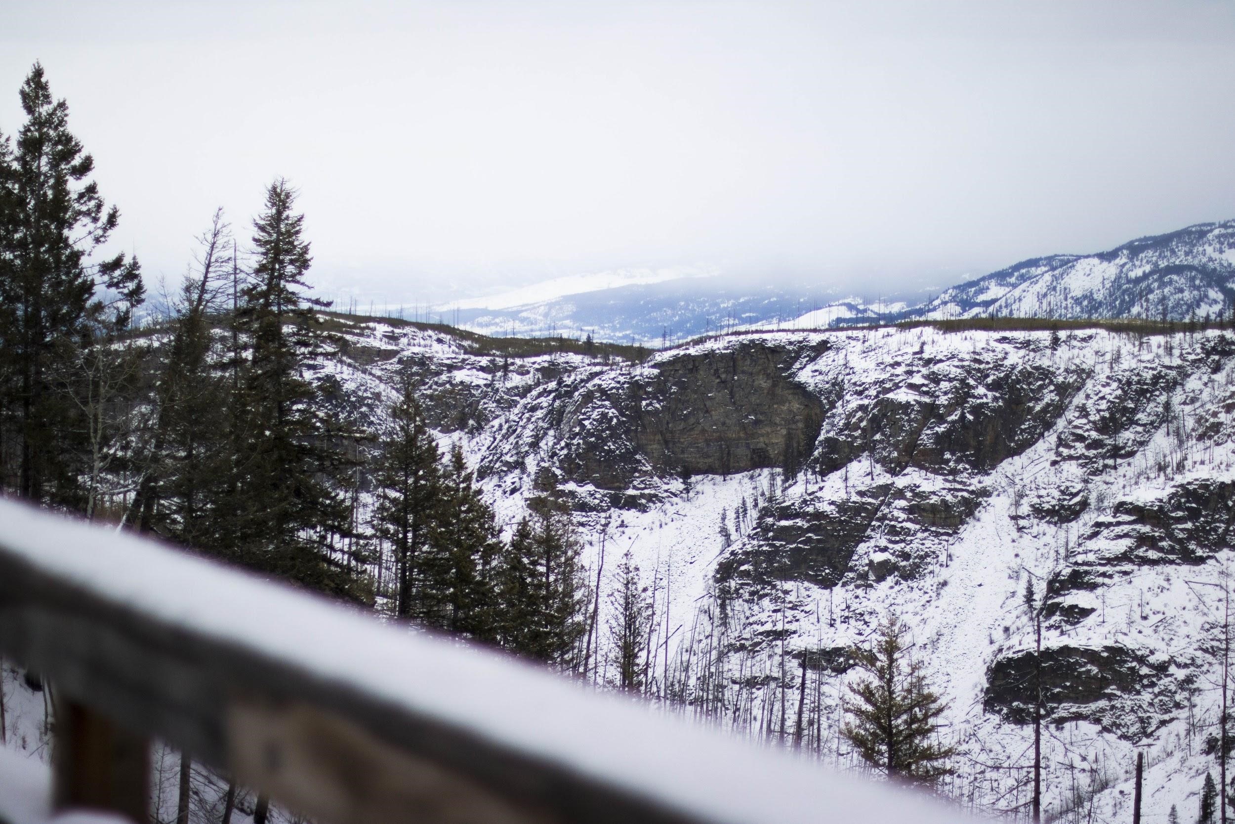 Myra Trestle Winter View