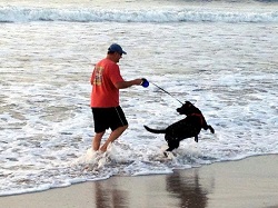 Man and dog at the beach