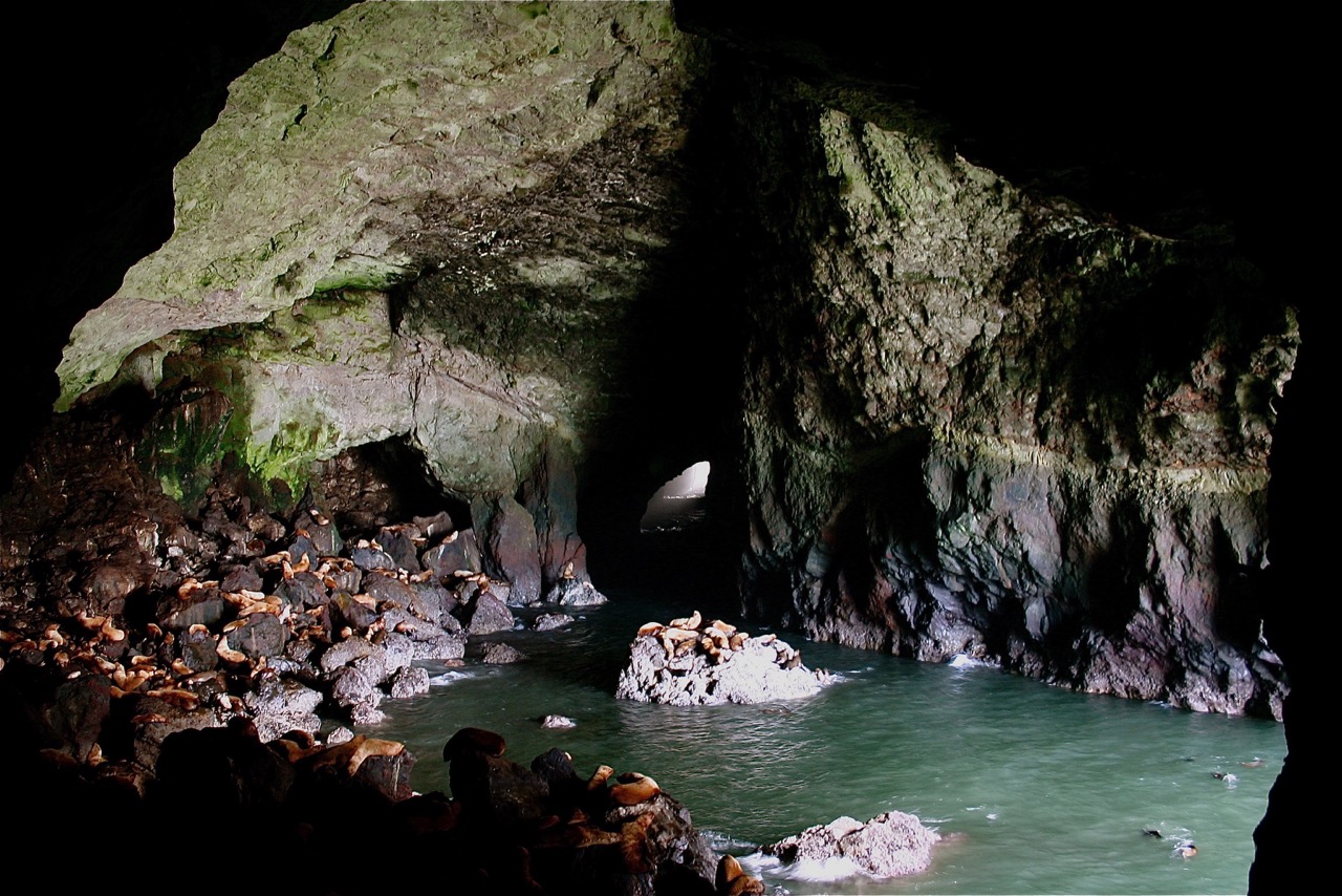 Sea Lion Caves