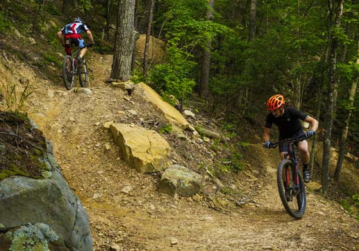 Raccoon mountain mtb sale