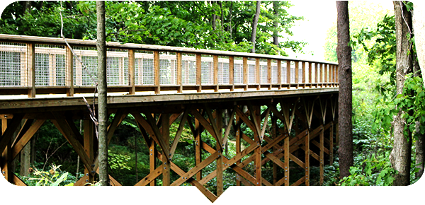 Flat Fork Creek Park