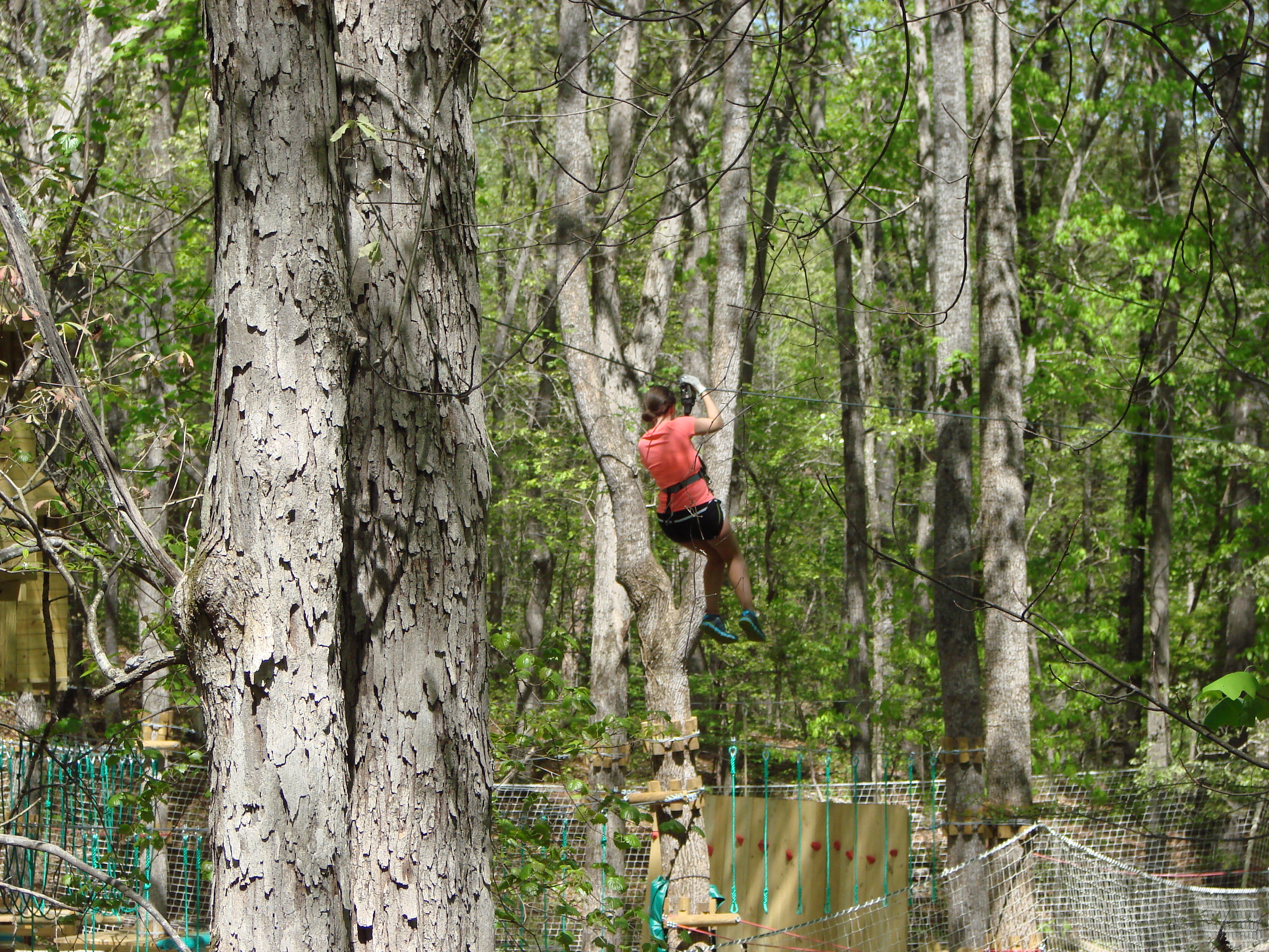 Swinging at Treetop Quest