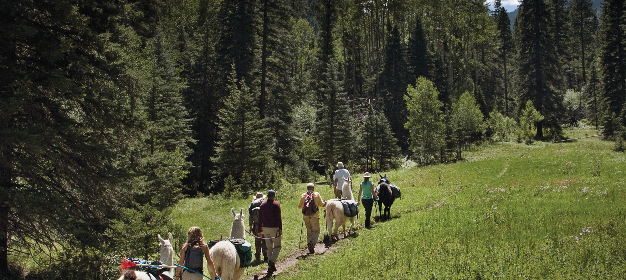 camping & hiking