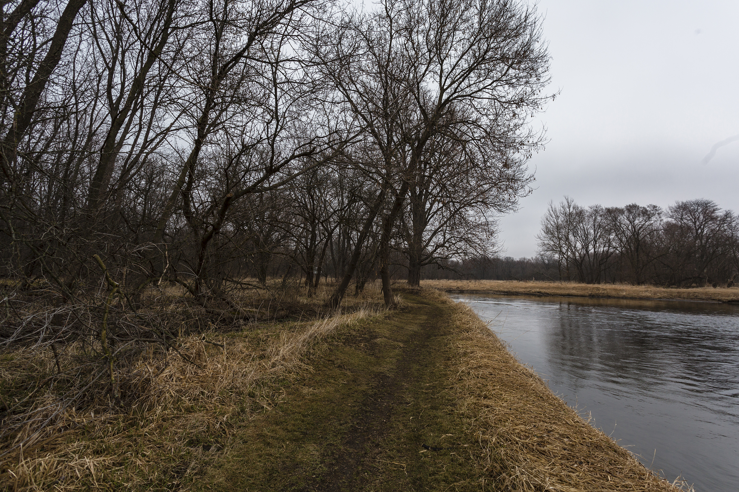 Kishwaukee Forest Preserve