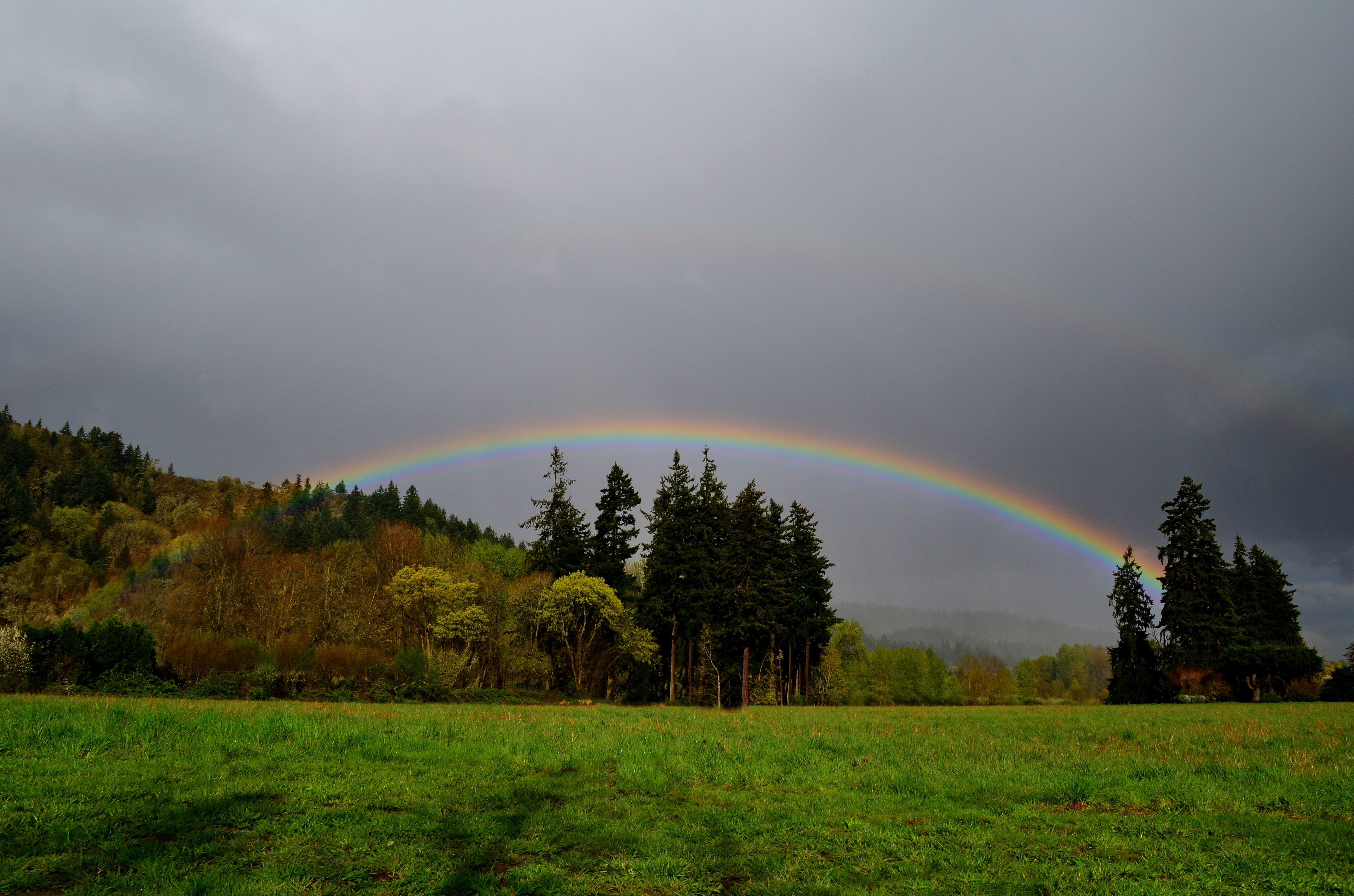 Weather Seasons Eugene Cascades Oregon Coast
