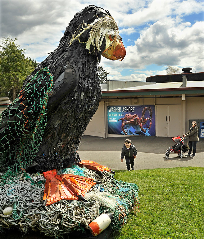 Washed Ashore at Point Defiance Zoo and Aquarium