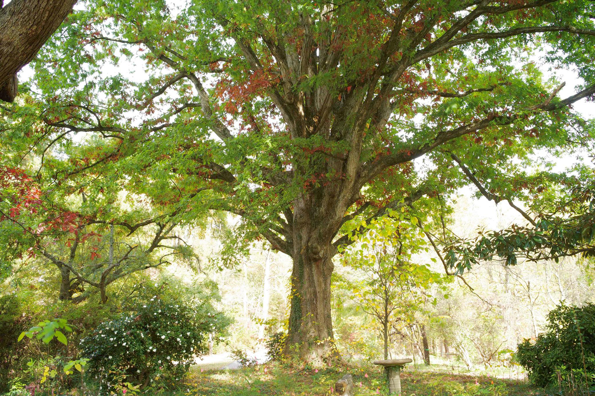 Lost Corner Preserve