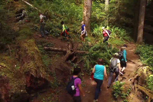 Group hike to waterfalls