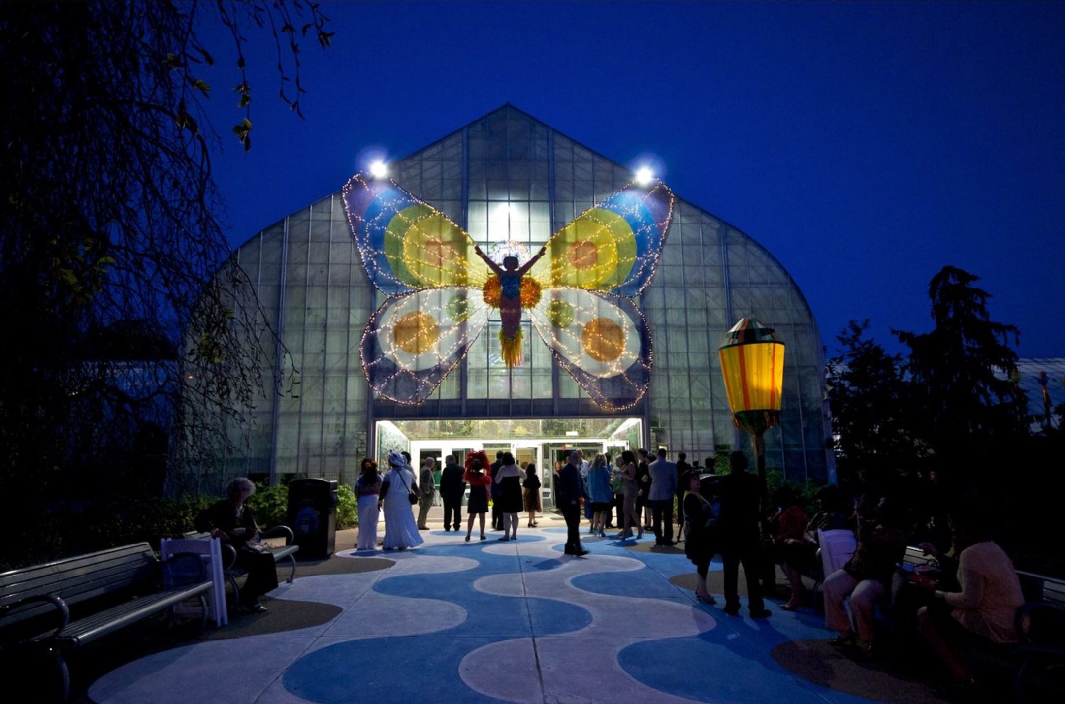 Krohn Butterfly Show