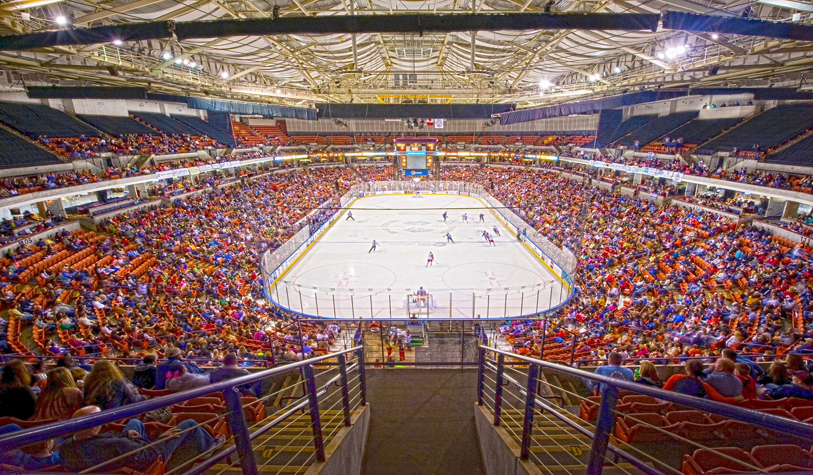 Greenville Swamp Rabbits – Field Pass Hockey