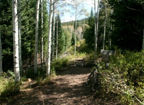 Center Trail Strawberry Loop