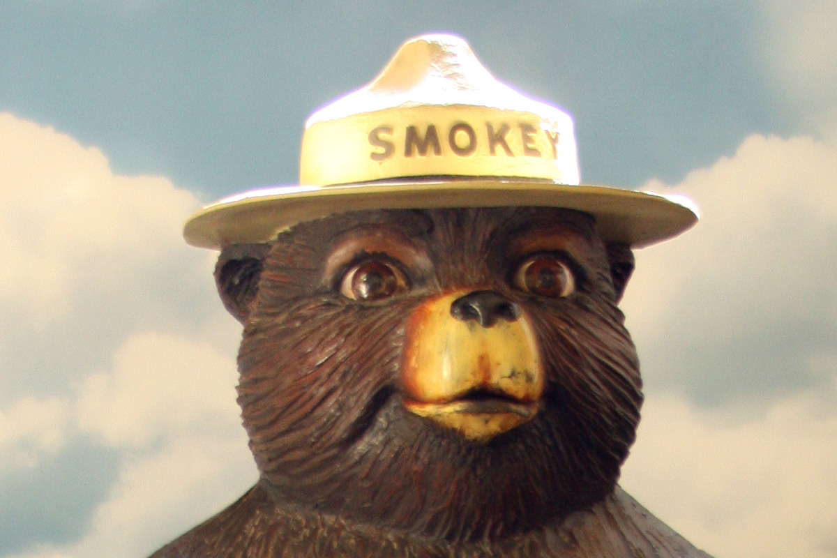 smokey bear