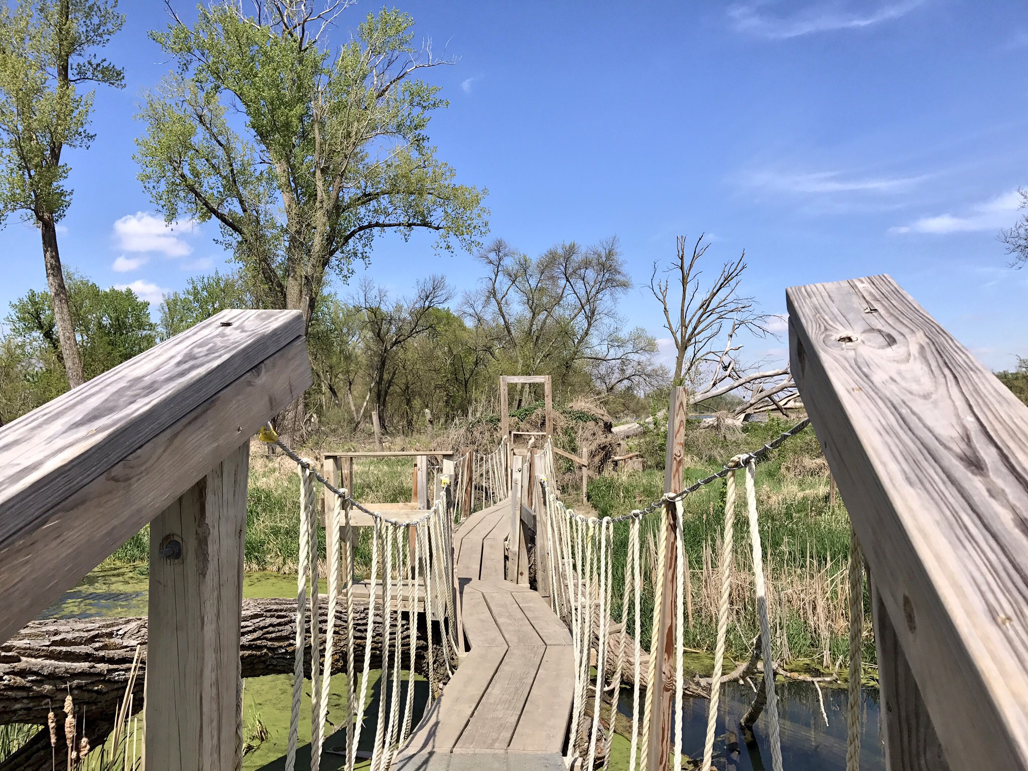 Fontenelle Forest bridge