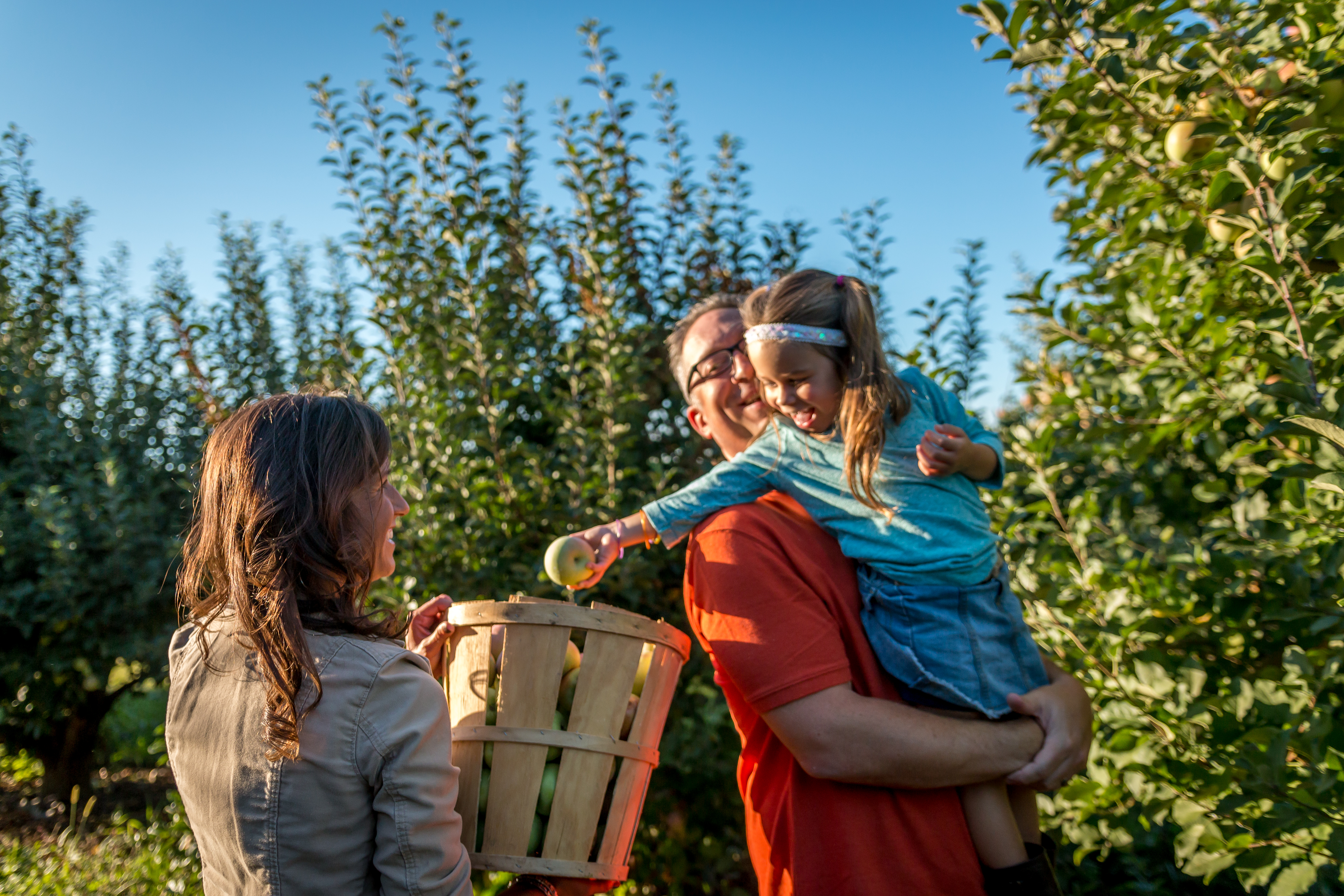 Outdoors-Harvesting @ Strites Orchard