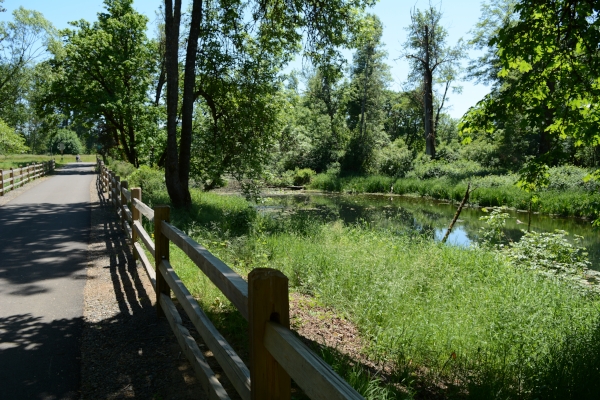 Mill Race Path by Colin Morton