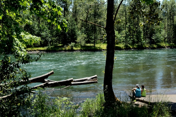 Willamette River, Middle Fork Path by Colin Morton