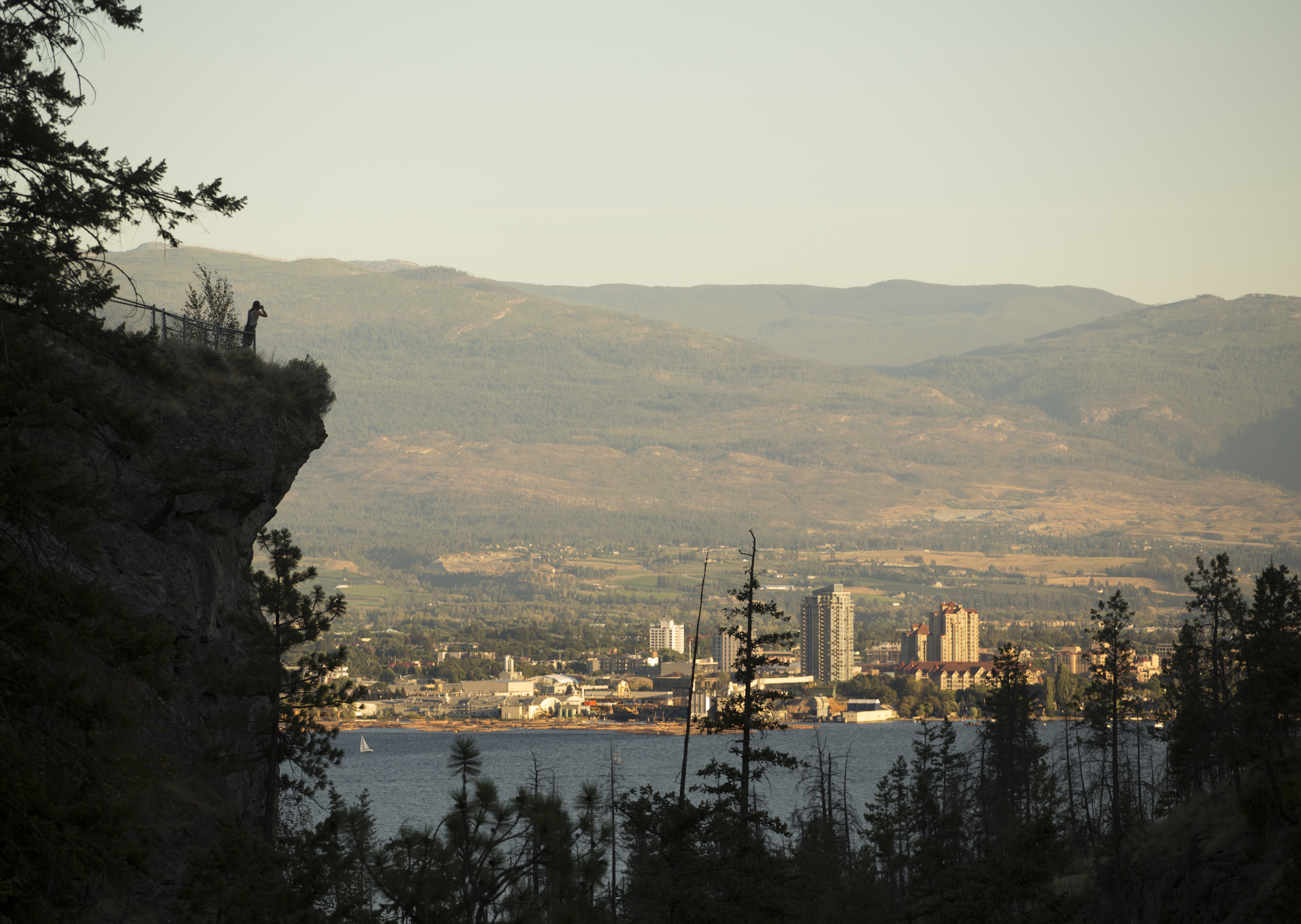 Bear Creek Park Lookout