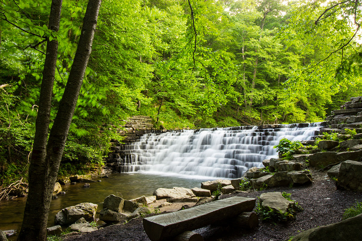 Laurel Hill State Park