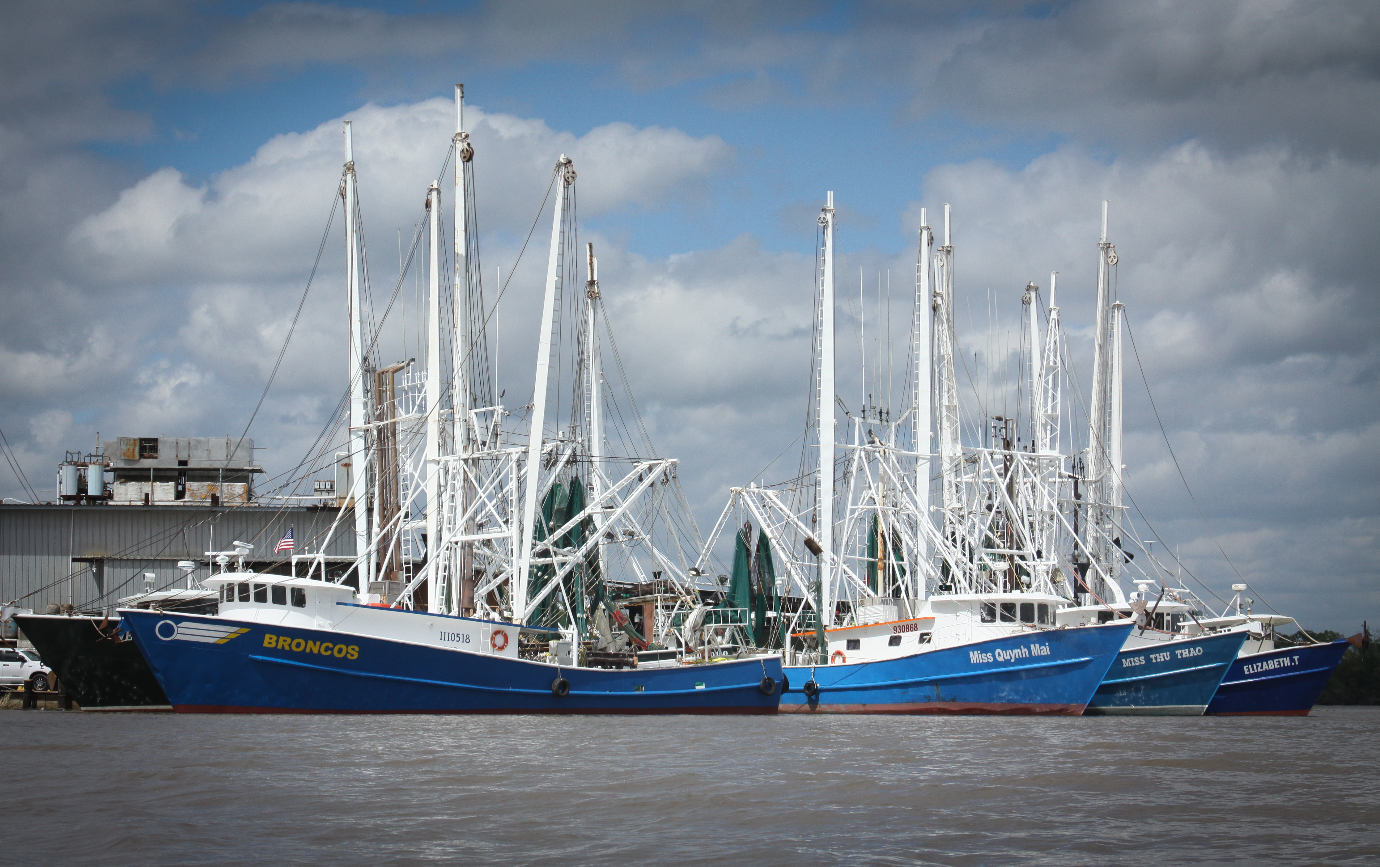 Bayou Vermilion Excursion