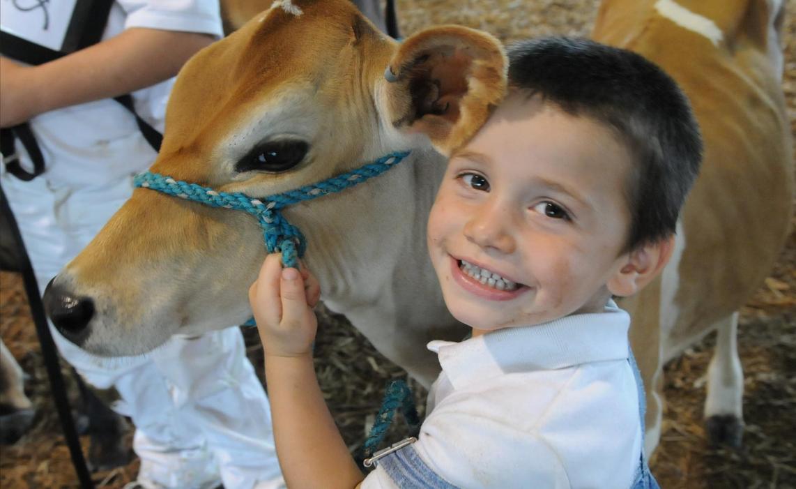 Fayette County Fair