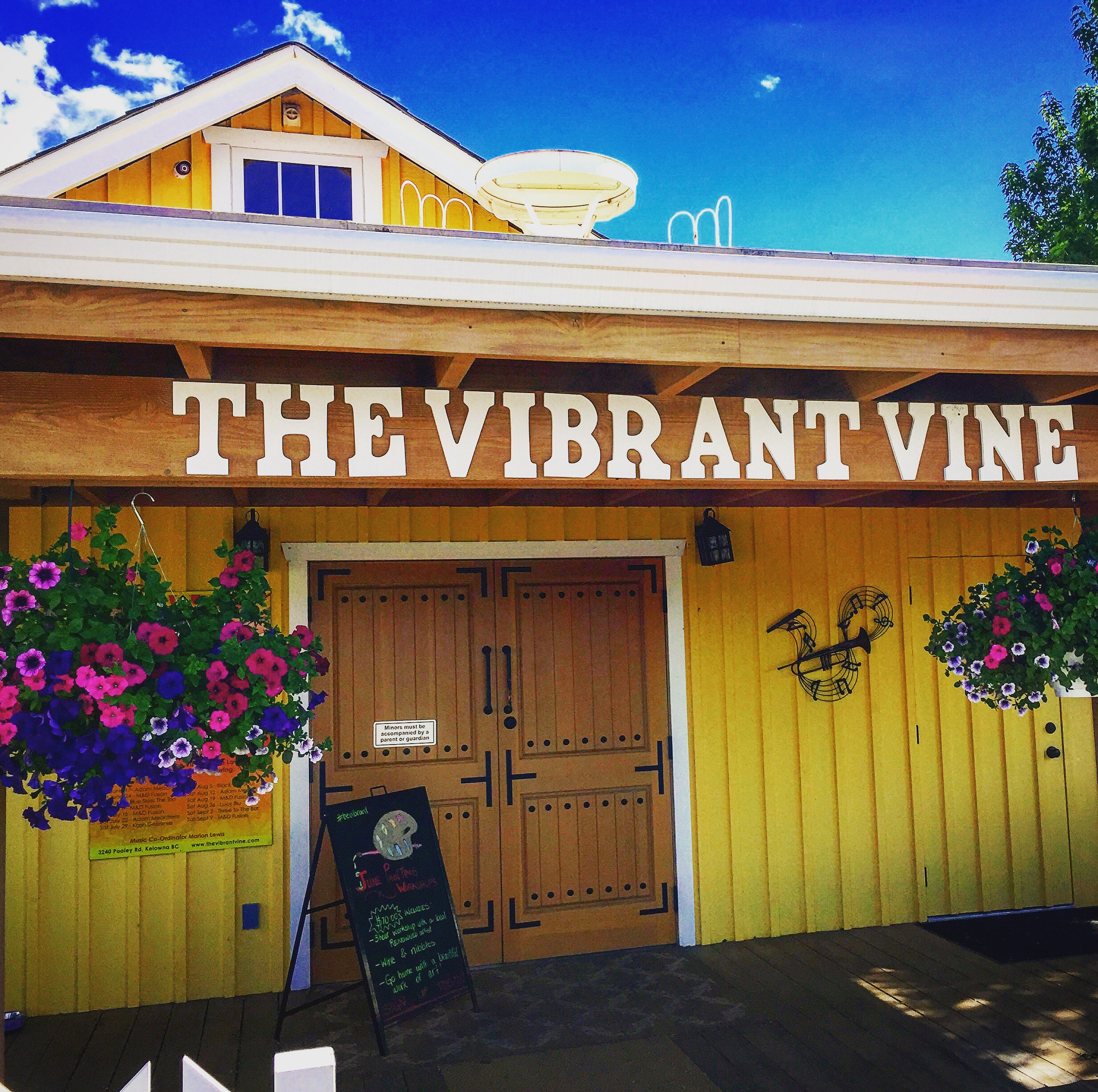 The Vibrant Vine