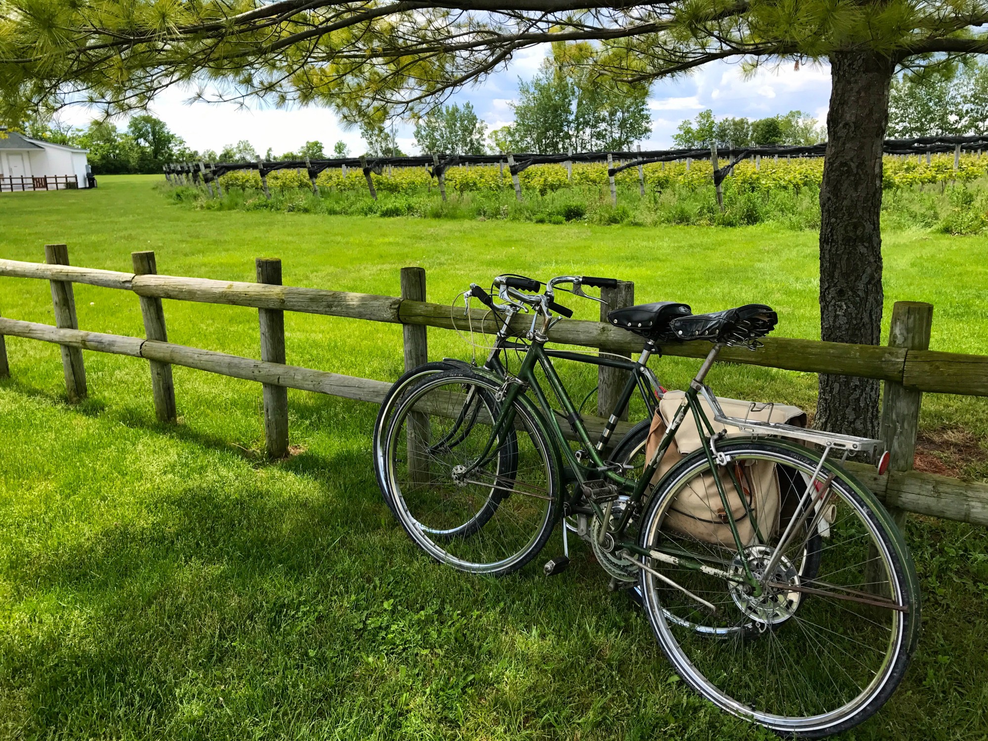 Pelee Island Winery Bike