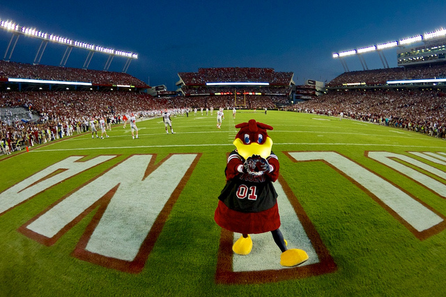 Gamecock Football University of South Carolina Gamecock mascot 'Cocky'