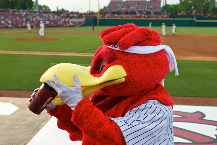 Famously Hot & Cocky Baseball Game and 2011 Spring FAM Tour