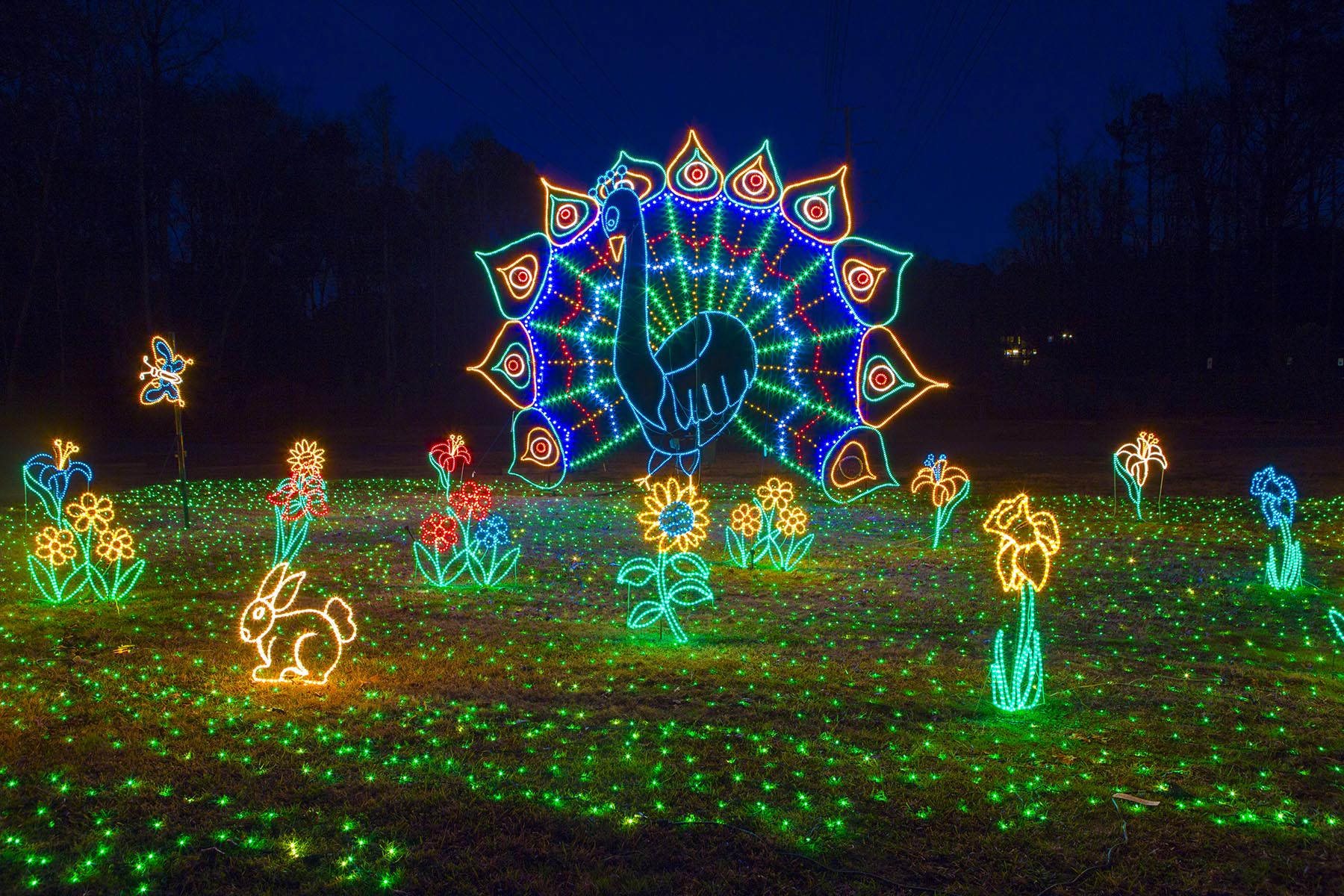 Holiday Lights on the River Holiday Lights on the River at Saluda Shoals Park in Columbia, SC