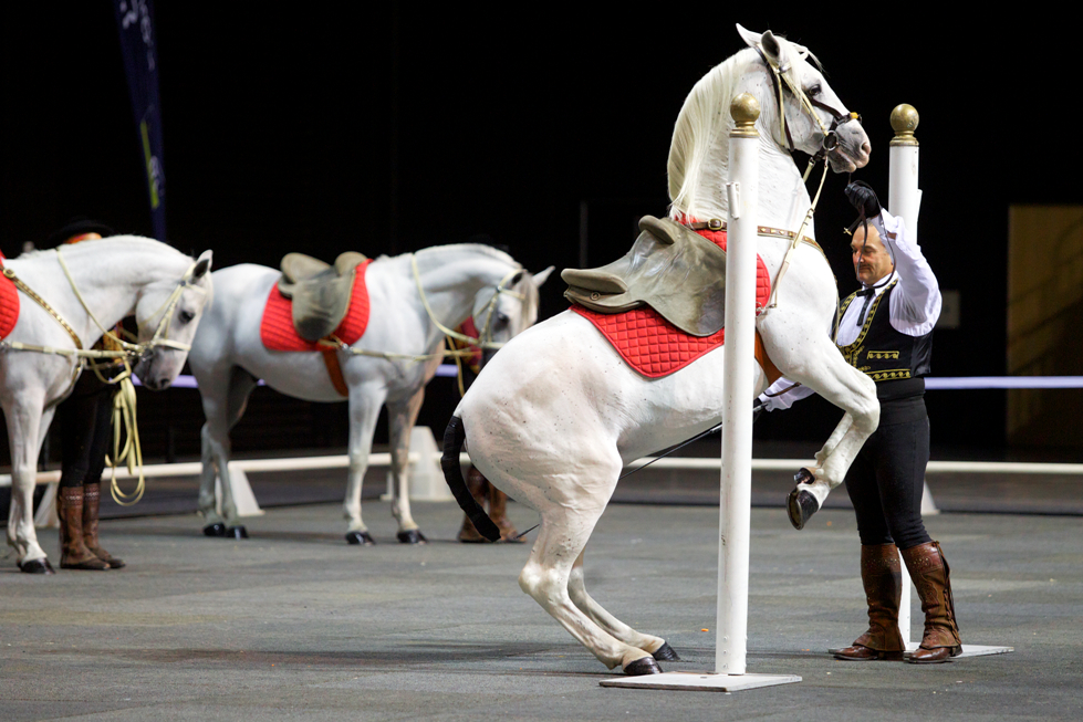 Gala of the Royal Horses