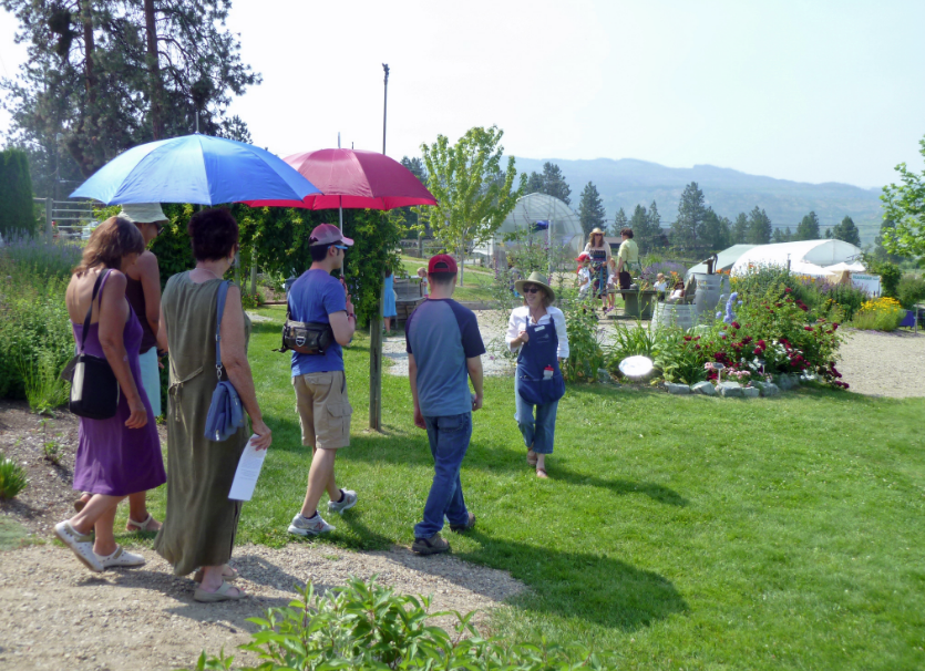 Tour Start at Lavender Farm