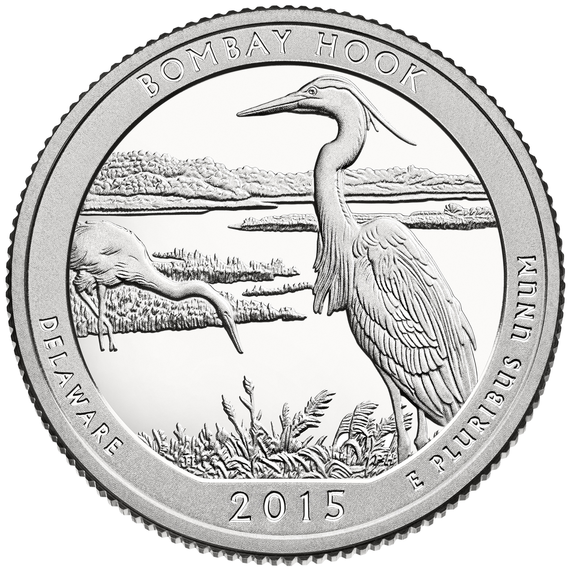 Bombay Hook Quarter