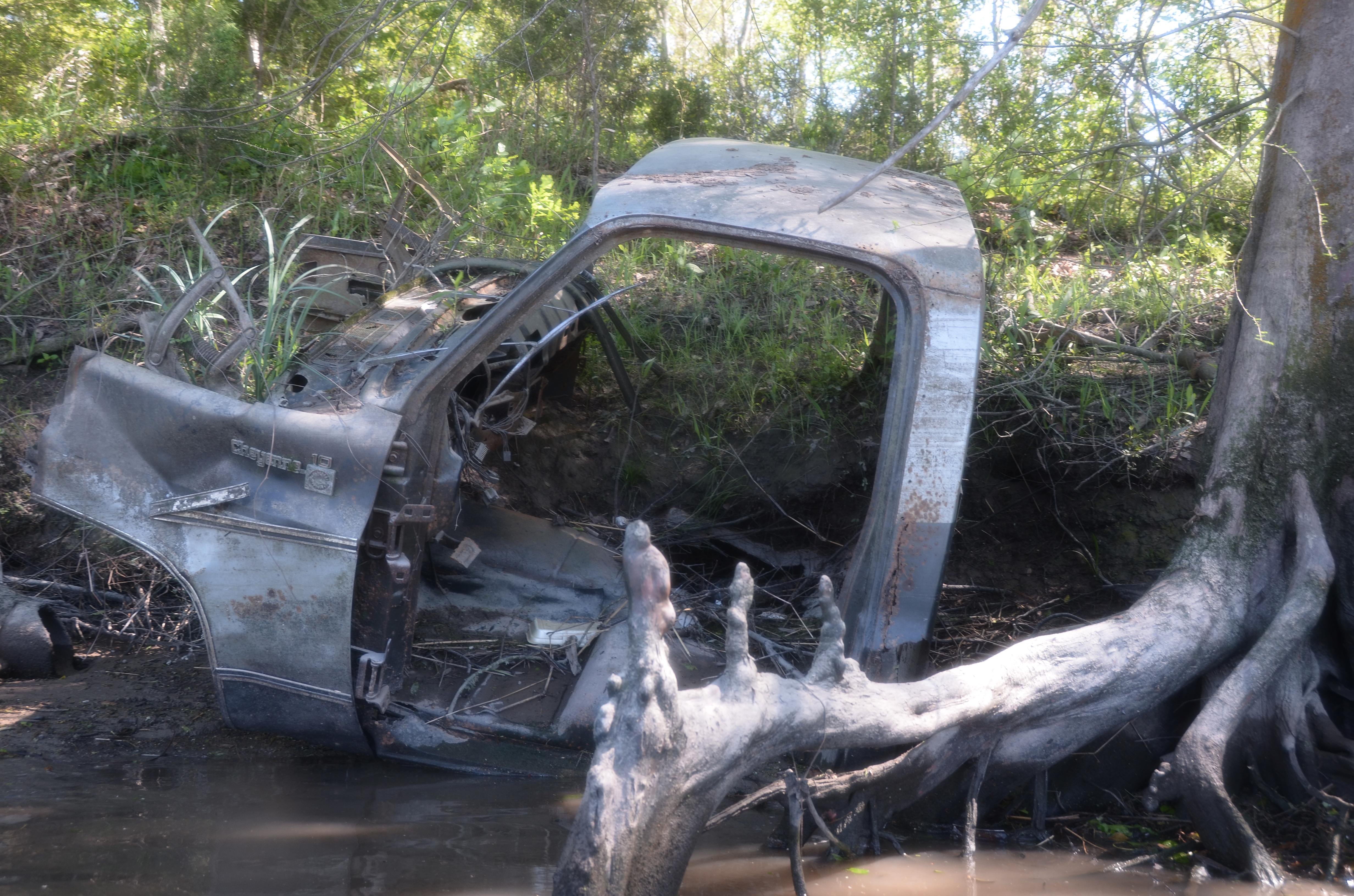 Bayou Vermilion Excursion: Abandoned Car