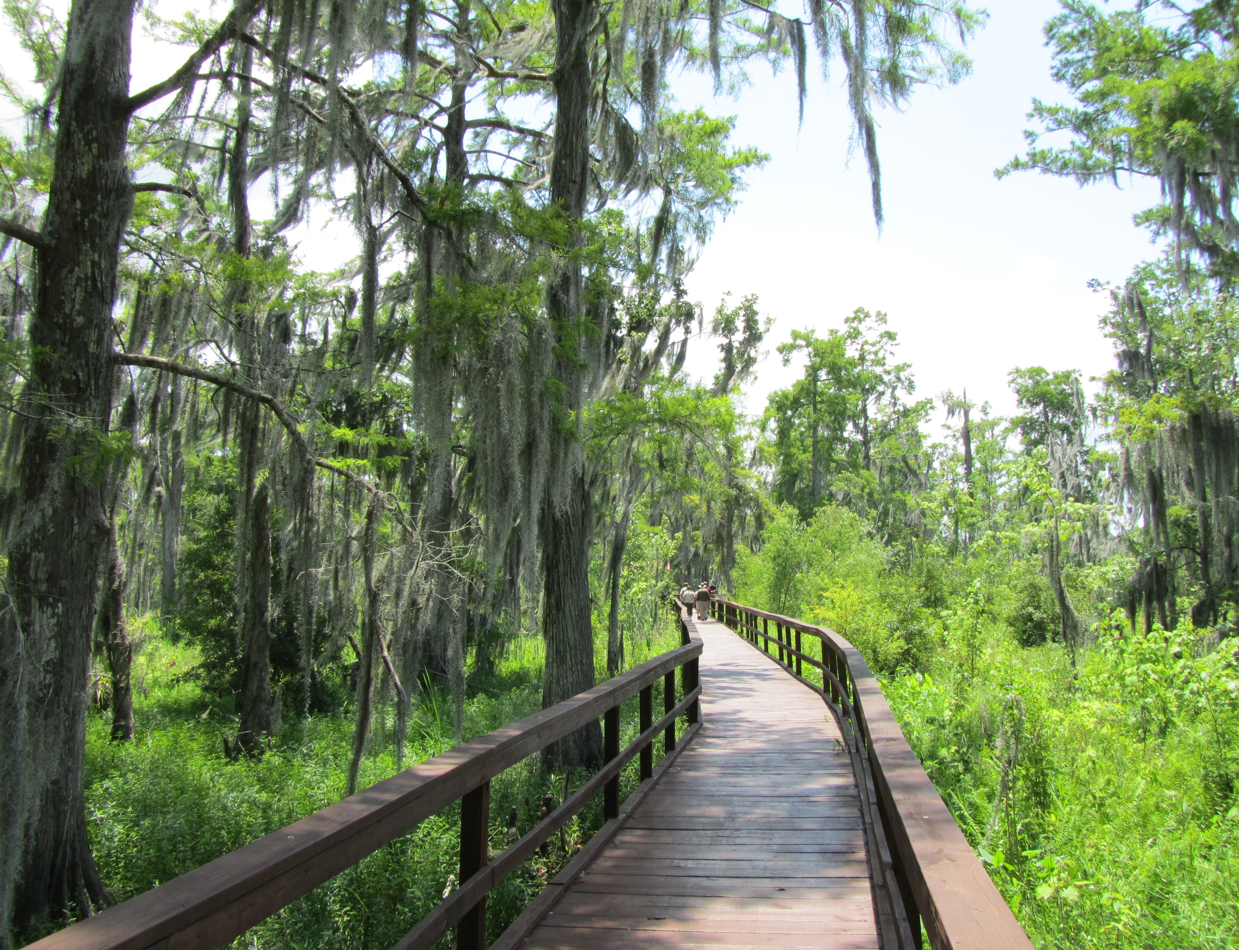 Barataria Preserve Walkway 