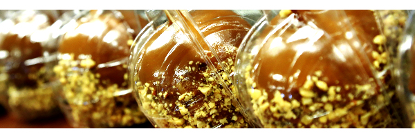 Conner Prairie Apple Store