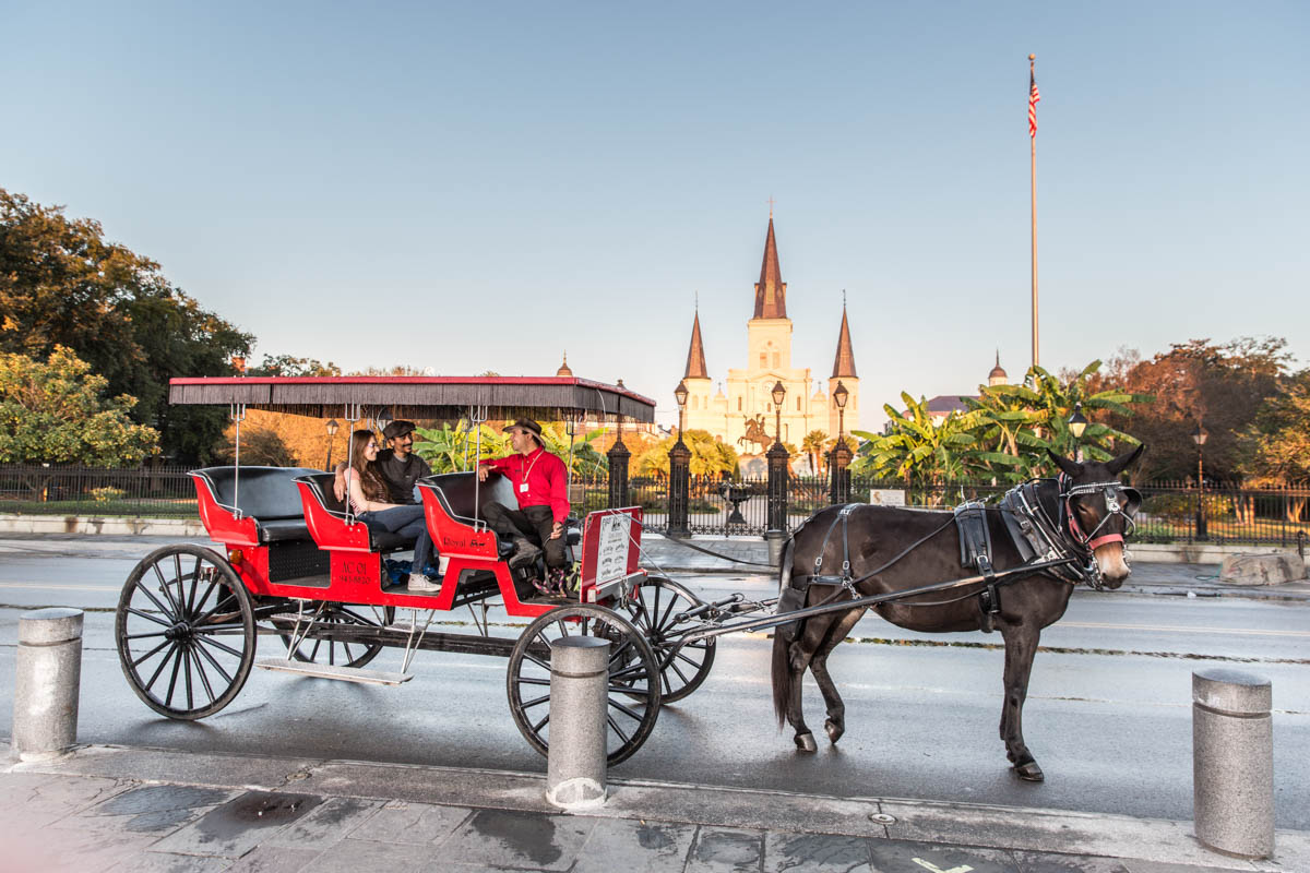 Carriage Limousine Service - Horse Drawn Carriages