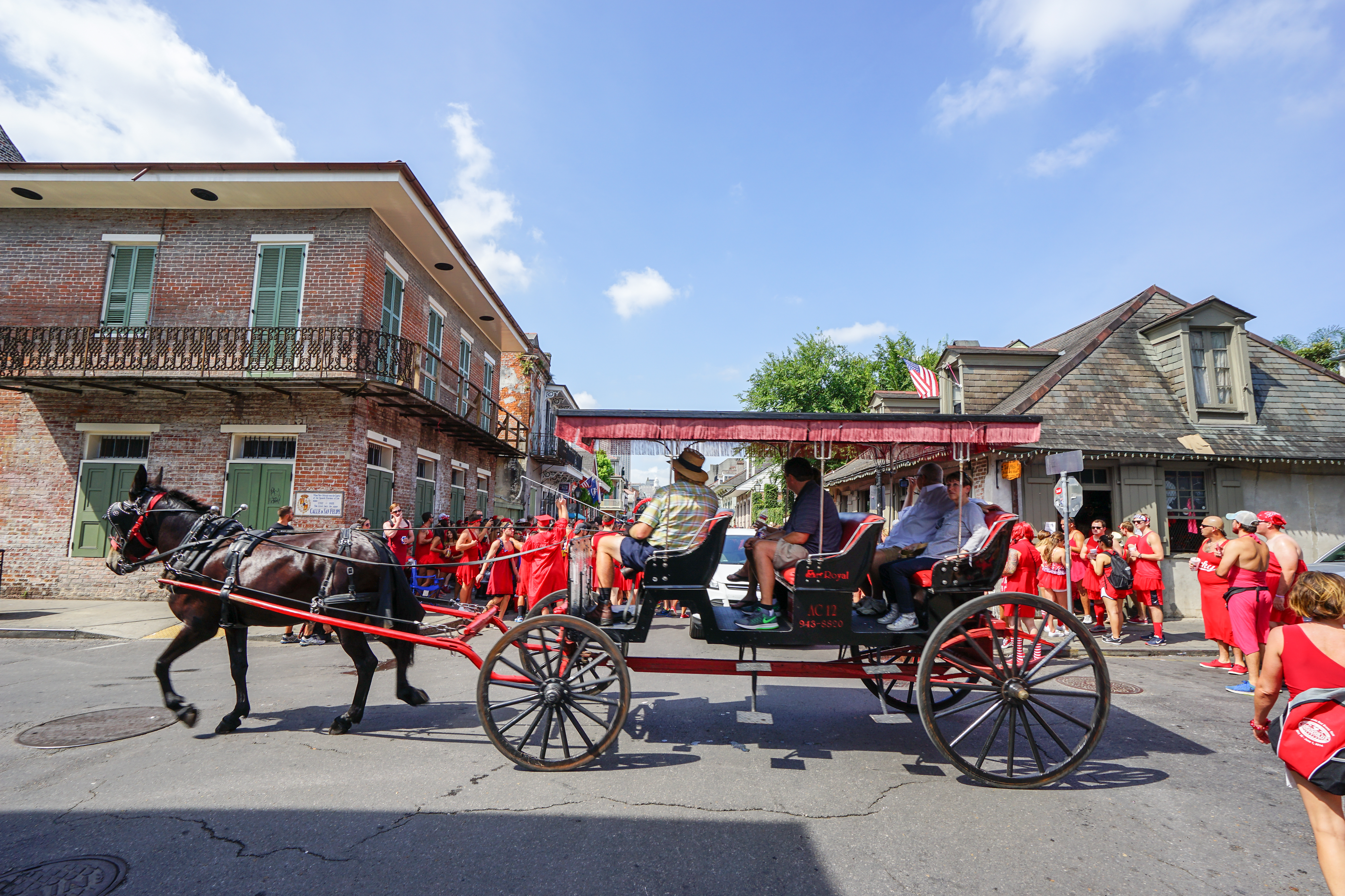 horse buggy ride