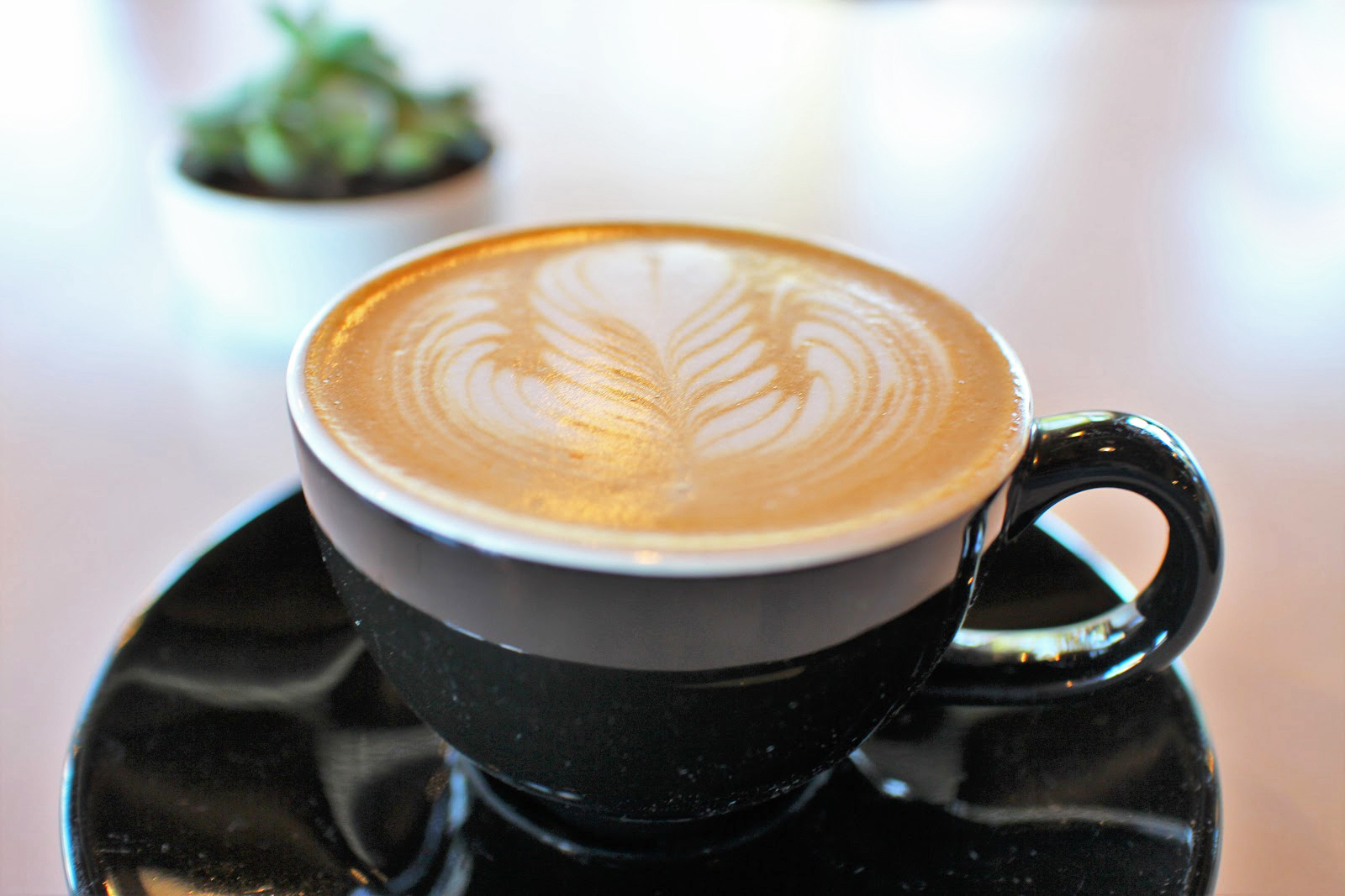 Bluebeard Coffee - Photo by Alex Balansay