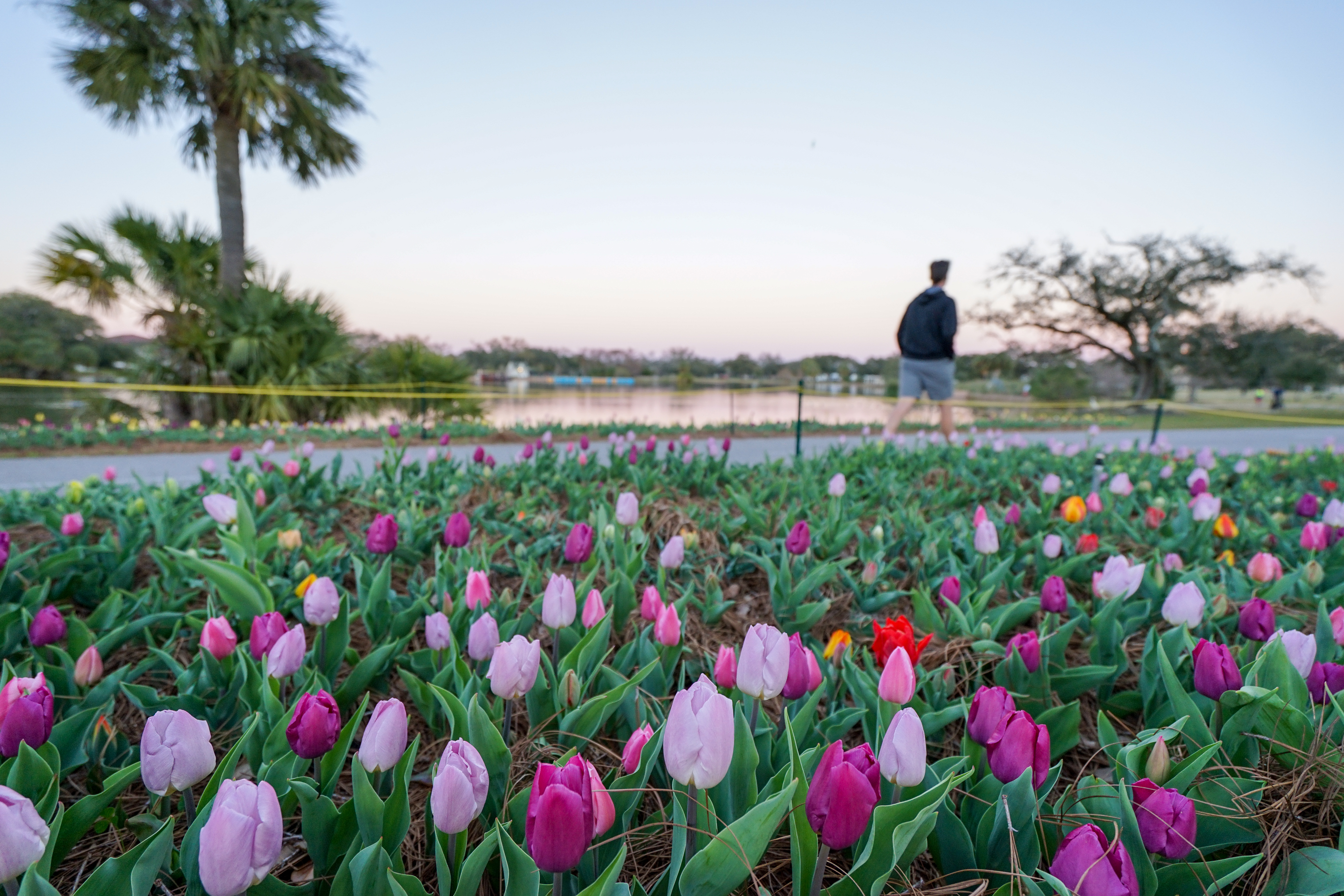 Top 10 Things to Do in New Orleans, Louisiana