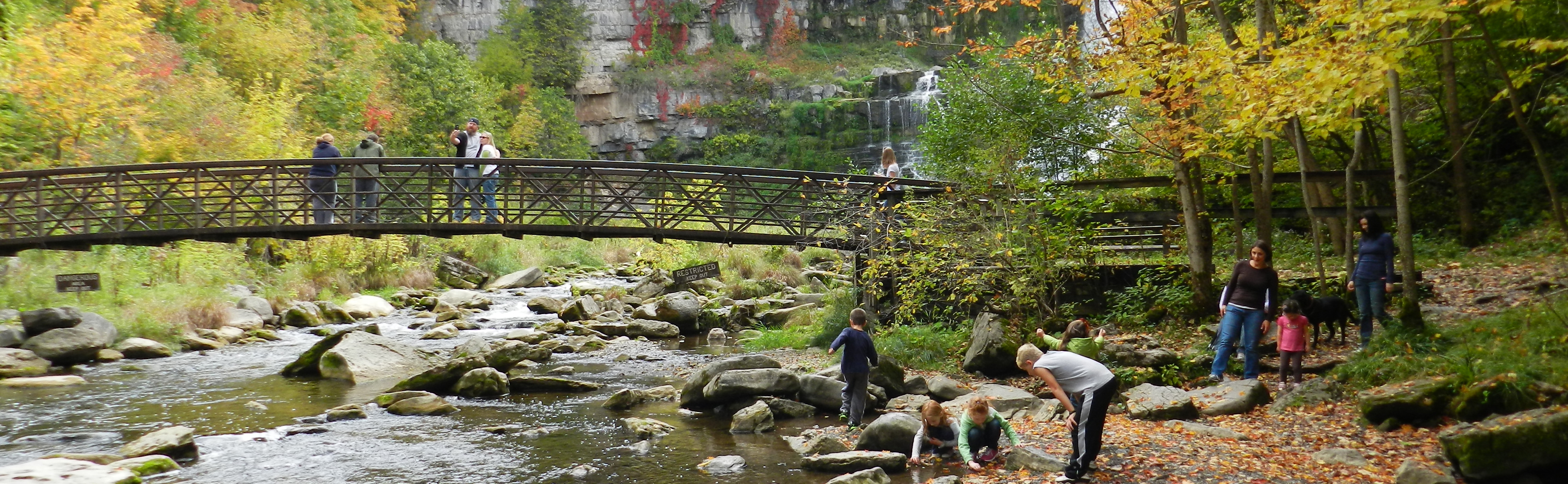 are dogs allowed at chittenango falls