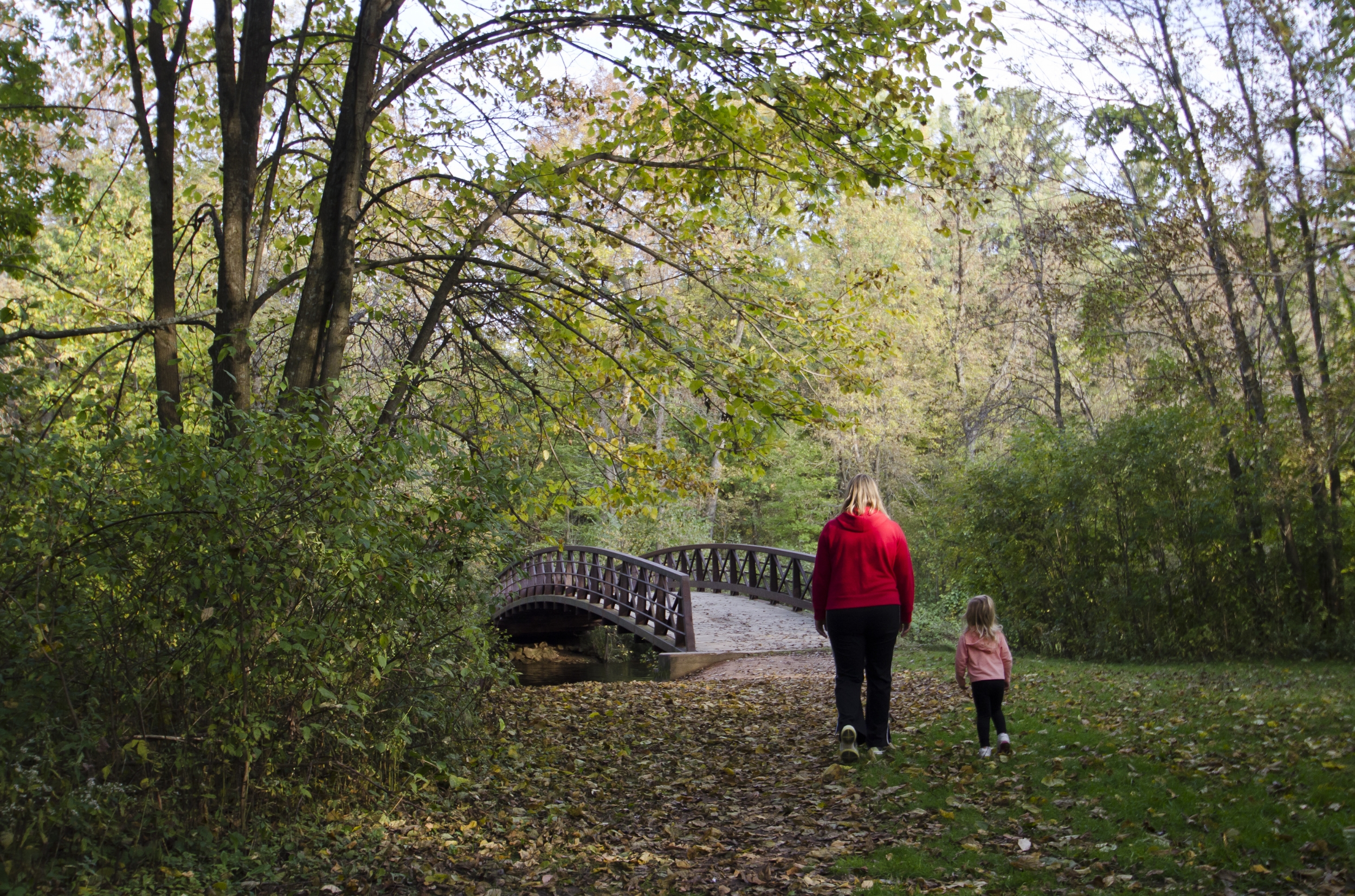 Jordan Park is a great place for fall hiking in the Stevens Point Area.