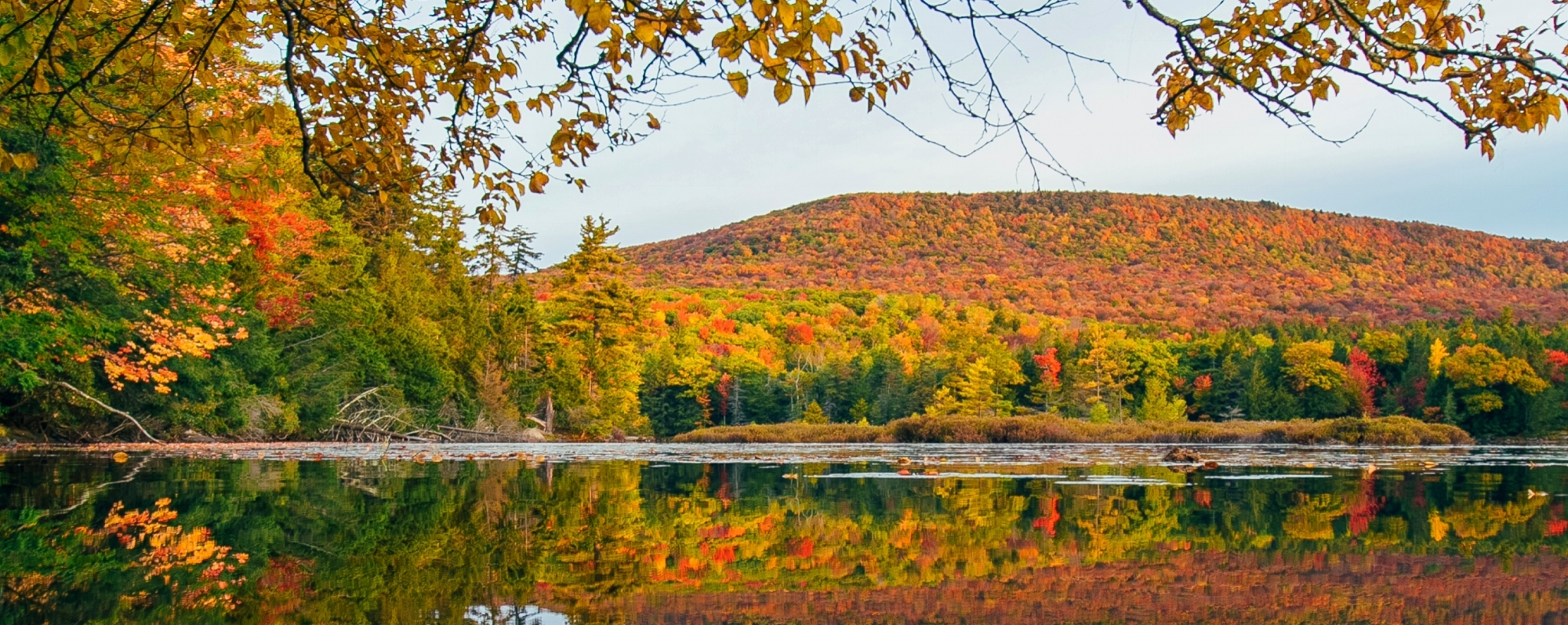 How to get to The Catskills, United States?